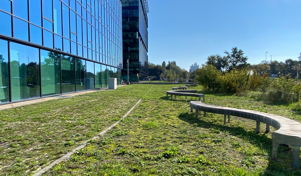 Recente kantoren te huur in Blue Towers vlakbij klaverblad in Gent