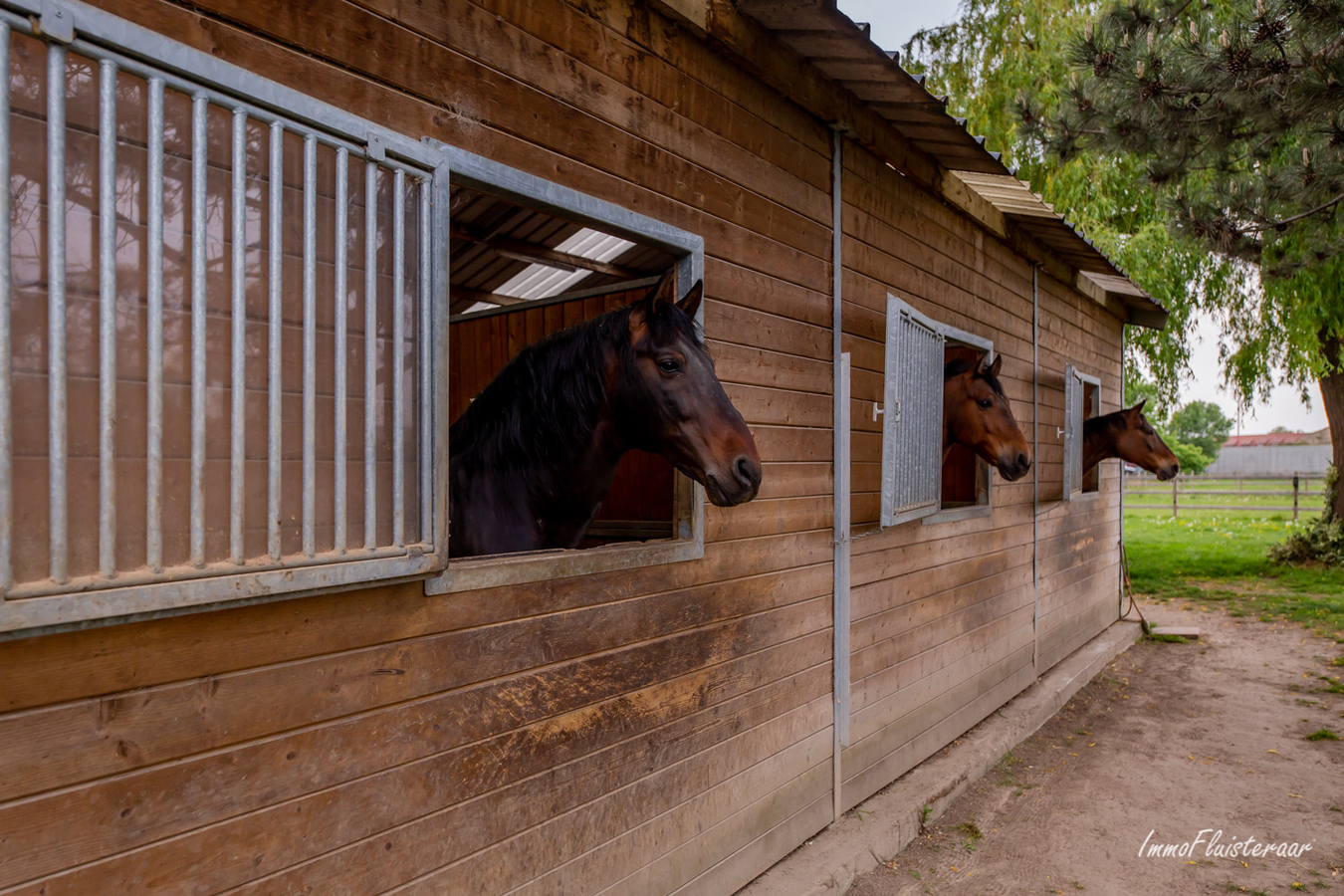 Woning met paardenaccommodatie en weiland op ca. 1ha te Kampenhout (Vlaams-Brabant) 