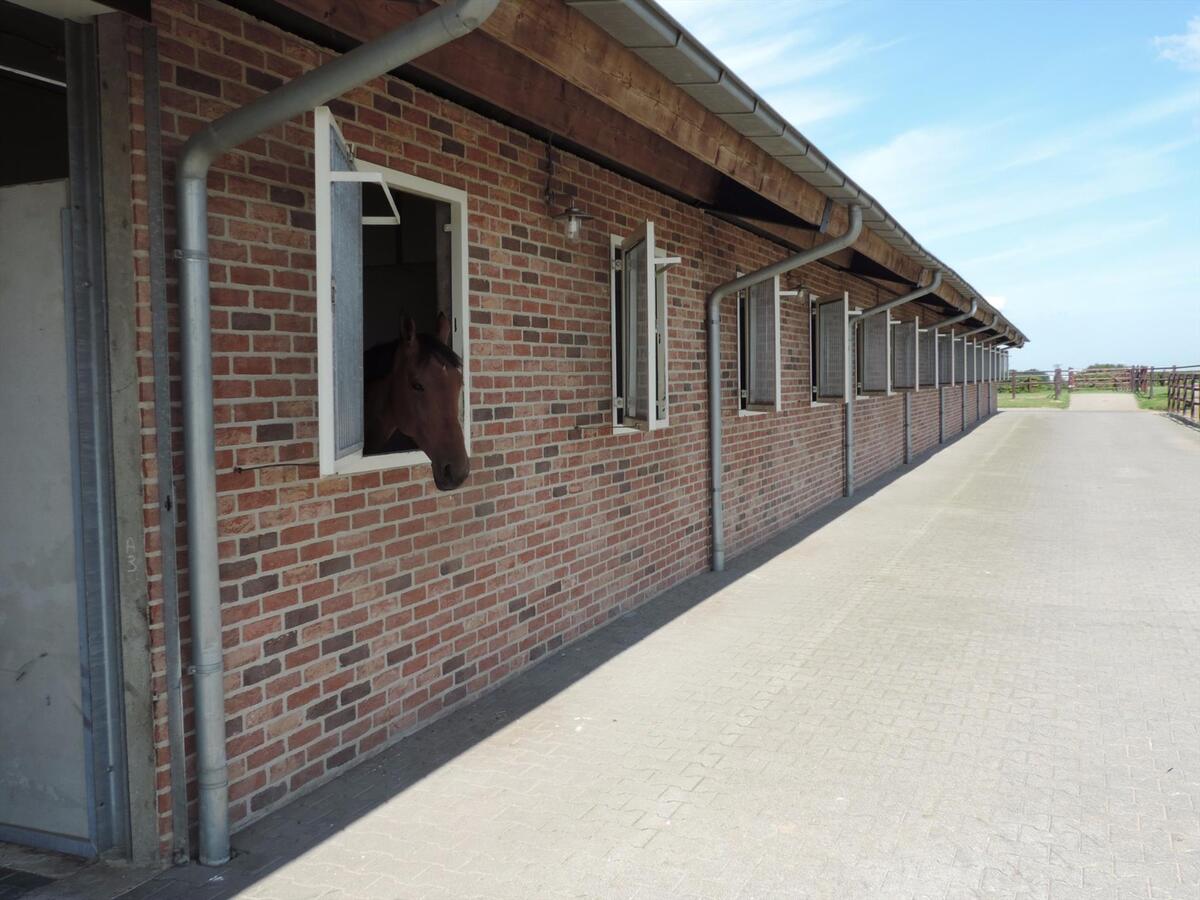 Luxueus landhuis met hippisch complex op ca. 2,7 ha te Ulestraten (NL) 