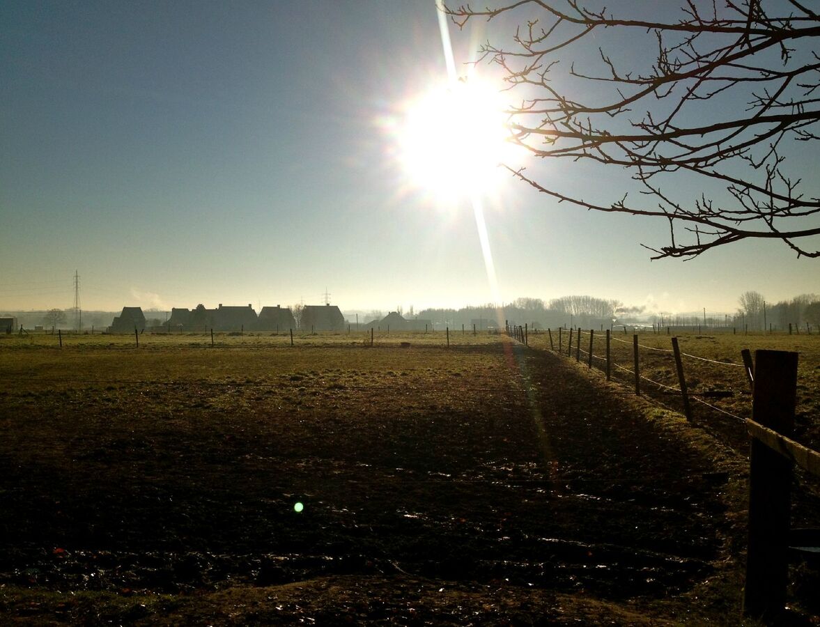 Pasture land sold in Waarloos