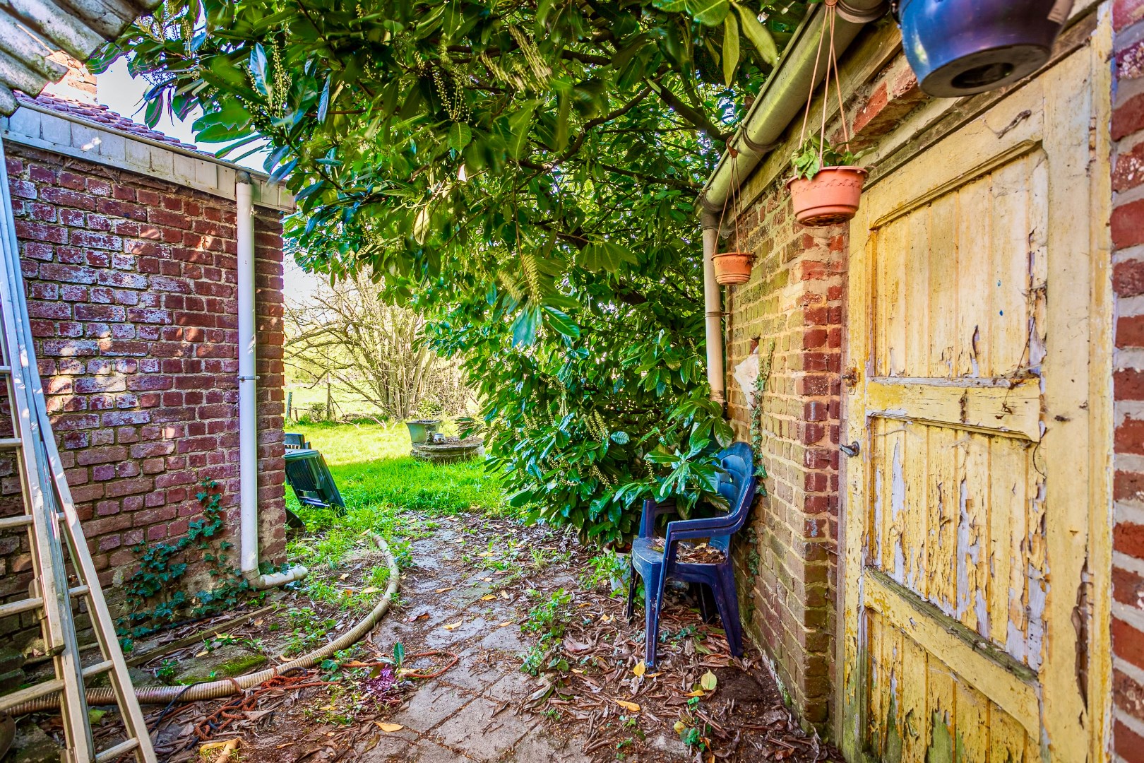 Te renoveren woning met omliggende gronden 