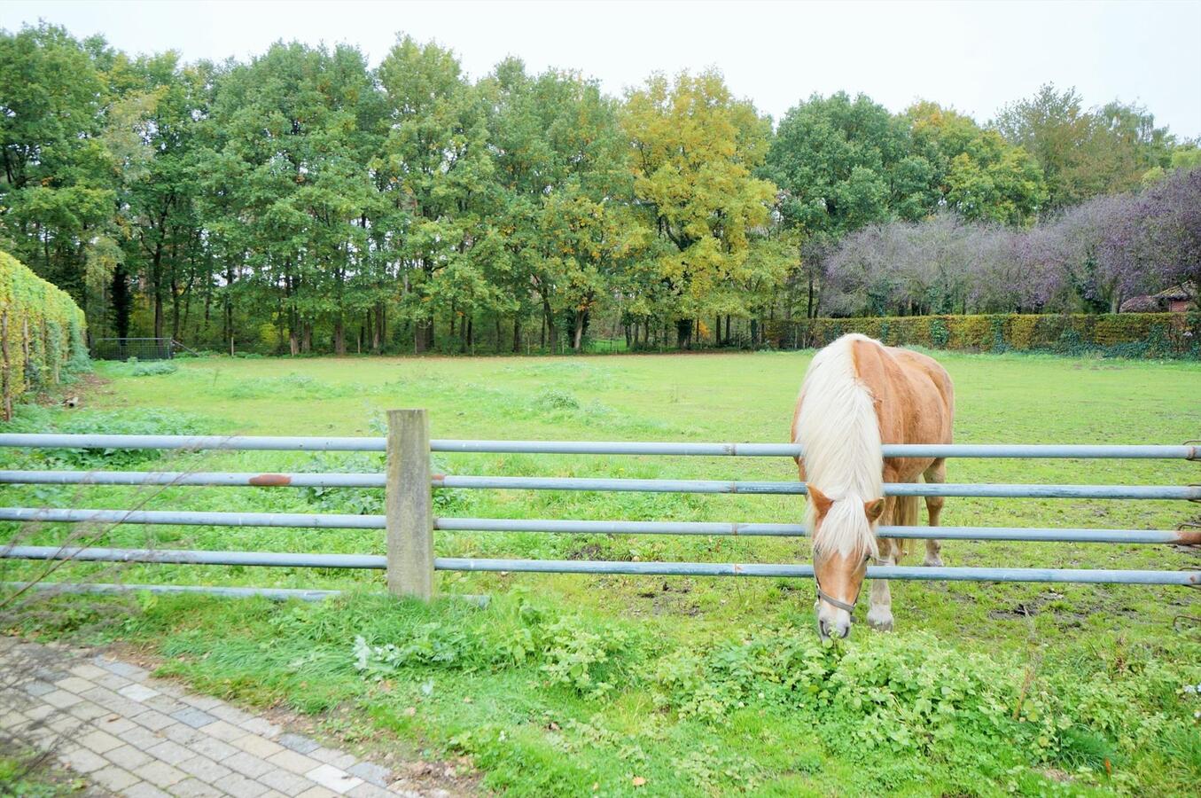 Ferme vendu À Westerlo