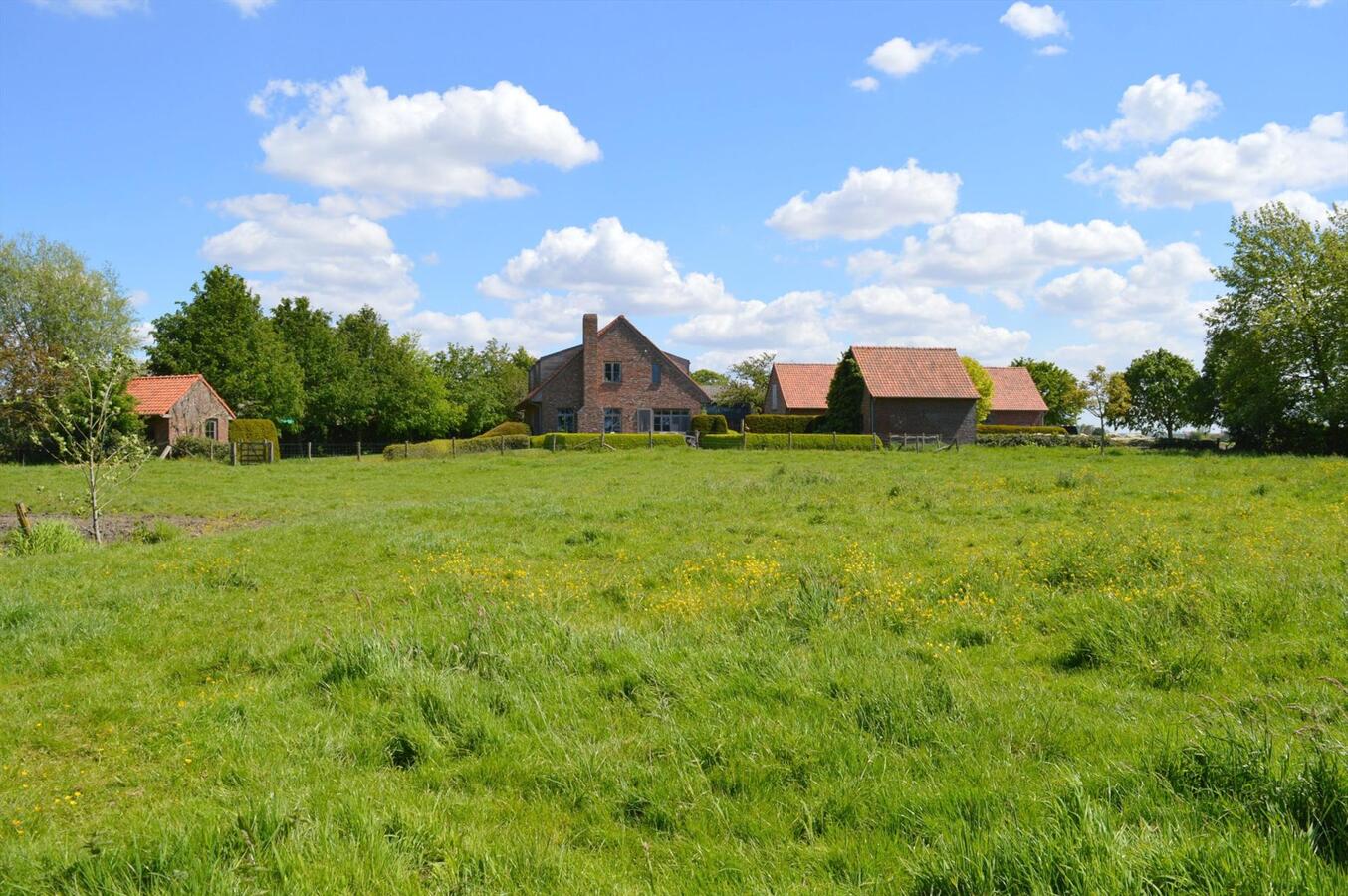 Recente woning met stalgebouwen op ca. 1 ha te Hooglede 