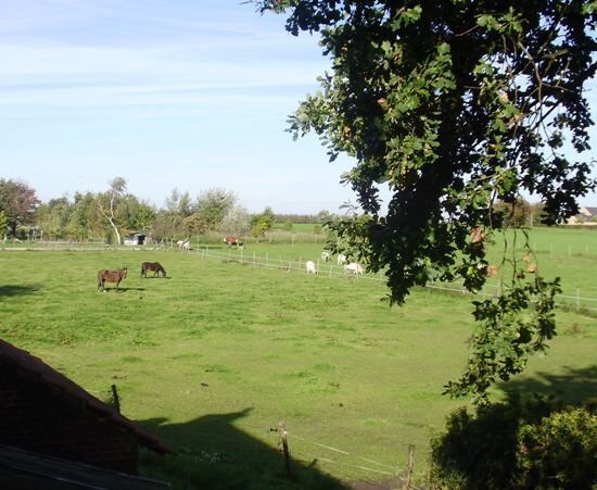 Farm sold in Kortenaken