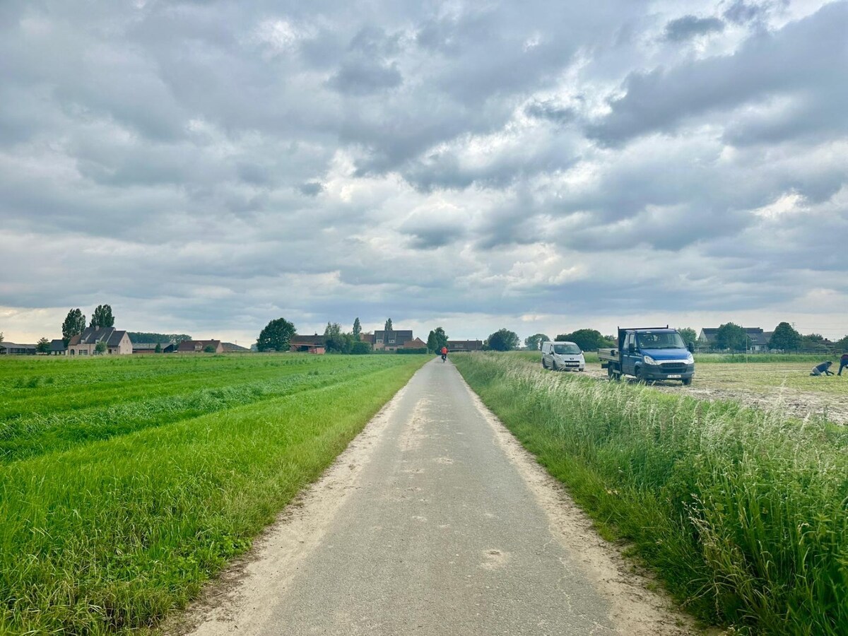 Terrain agricole a vendre À Lievegem