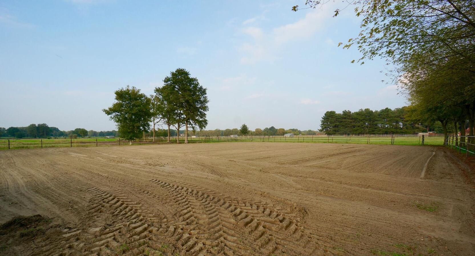 Villa met paardenstallen, buitenpiste en renbaan op ca. 5,5ha te Itegem 