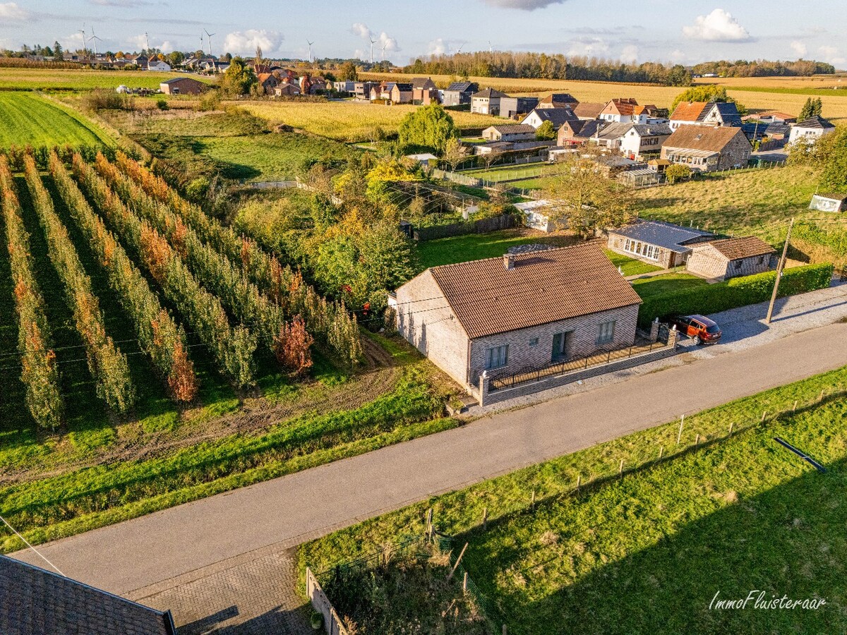 Charmante woning op een ruim perceel van ca. 78 are te Loksbergen (Halen) 