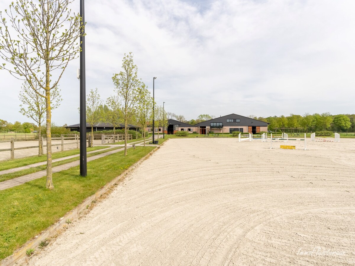 Beautiful equestrian accommodation on appr.  2.4 ha/5,94 acres in Meerle/Hoogstraten 