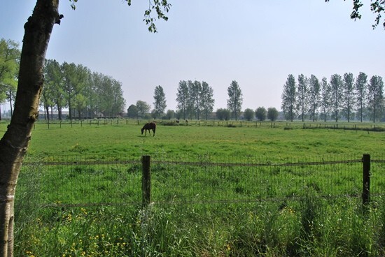 Villa met stalgebouw op 4,23ha 