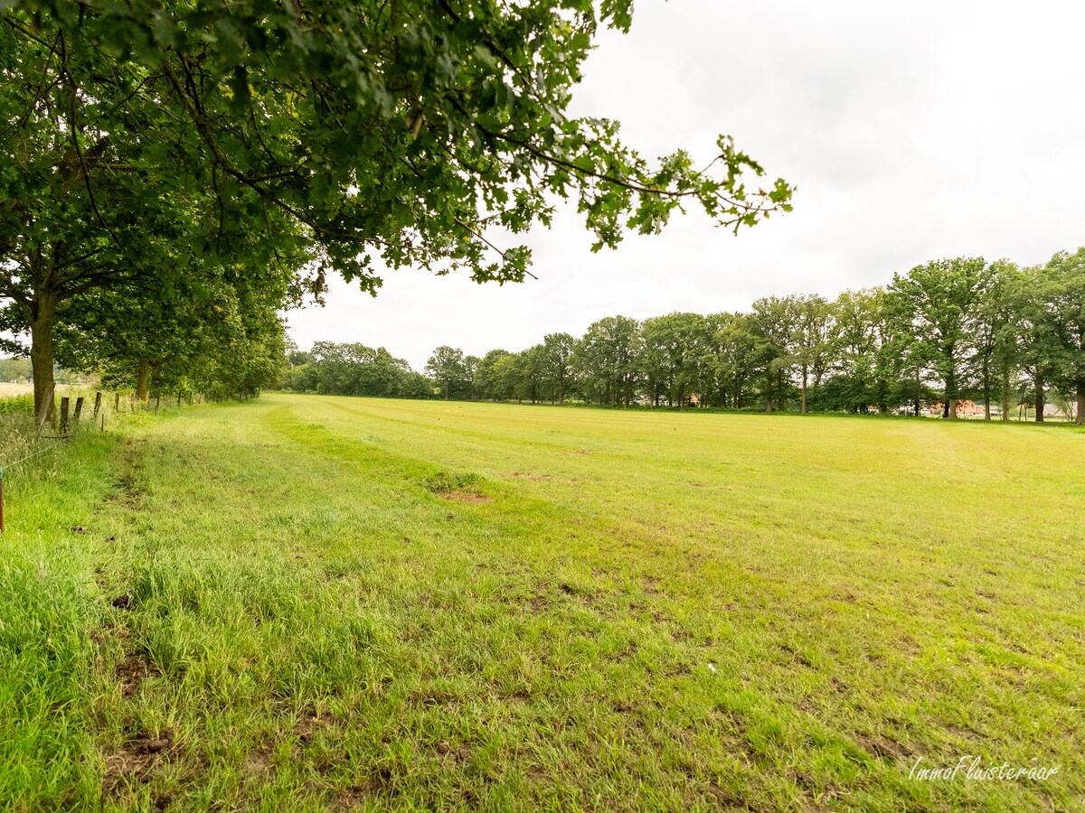 Maison spacieuse avec b&#226;timent d&#39;&#233;curie et prairies sur environ 3,8 hectares &#224; Berlaar. 