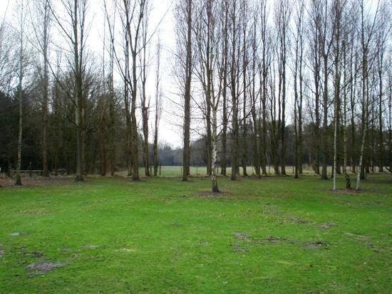 Idyllische eigendom op ca. 2ha in het Stroperbos 