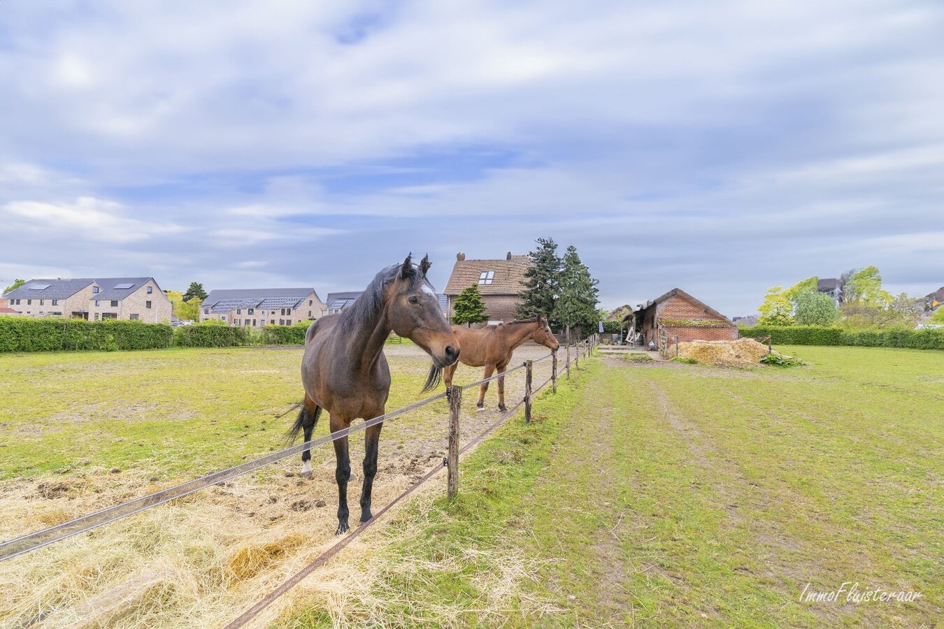 Gezellige woning met stallen op een prachtige locatie te Bocholt (ca. 44a50ca) 