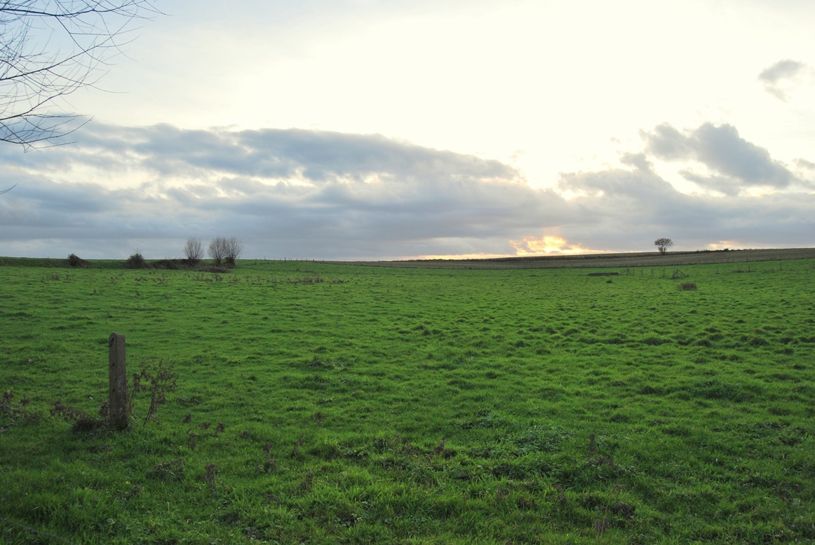 Te renoveren hoeve op ca. 1,4 ha op prachtige locatie te Geraardsbergen 