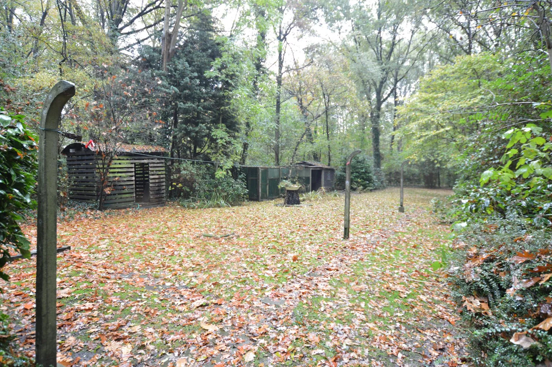 Perceel bouwgrond van 1453 m² met chalet in Leugenboombos te Koekelare