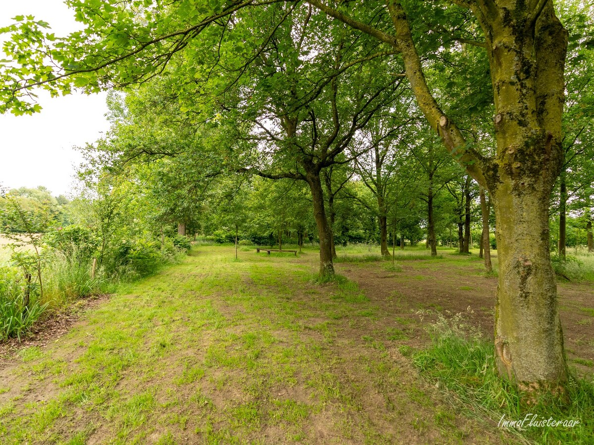 Magnifique maison avec vue sur les prairies et les for&#234;ts sur environ 3,5 hectares &#224; Heist-op-den-Berg 