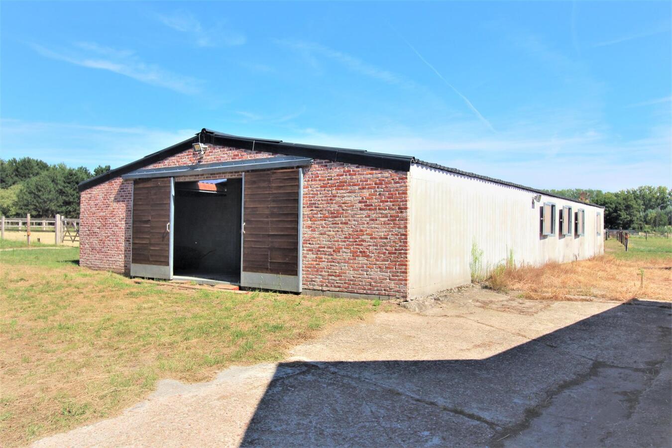 Recente woning met stalgebouw, grote schuur, buitenpiste en weilanden op ca. 1,23ha te Waasmunster (Oost-Vlaanderen) 