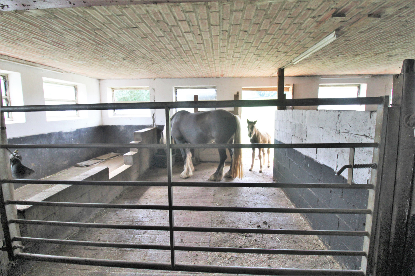 OPTION - Maison avec d&#233;pendances et pr&#233;s sur environ 1,64ha &#224; Ambl&#232;ve (Li&#232;ge) 