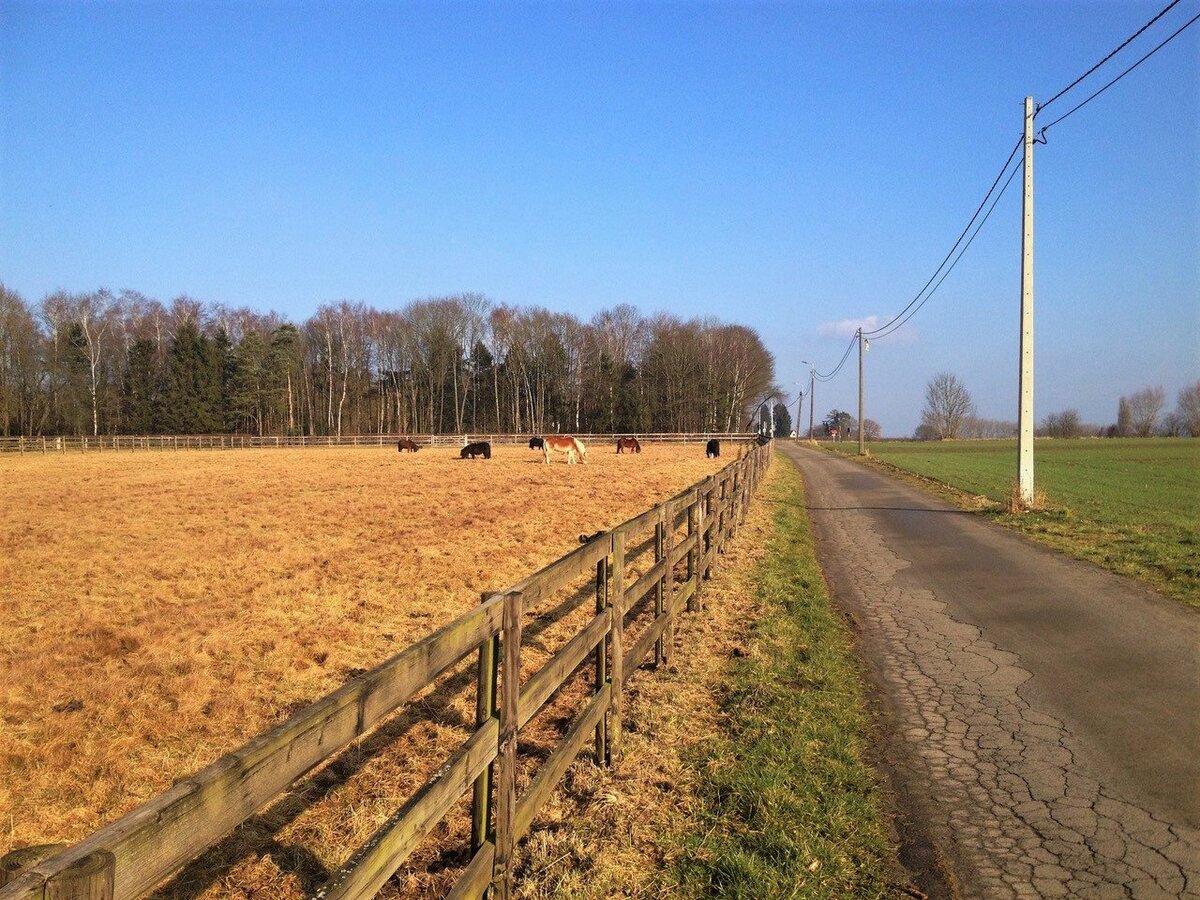 Villa avec infrastructures &#233;questres, piscine, court de tennis, piste de trot et prairie sur environ 2ha65a &#224; Huldenberg (Brabant Flamand) 