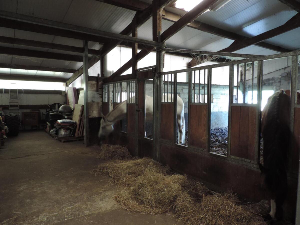 Ferme vendu À Bocholt