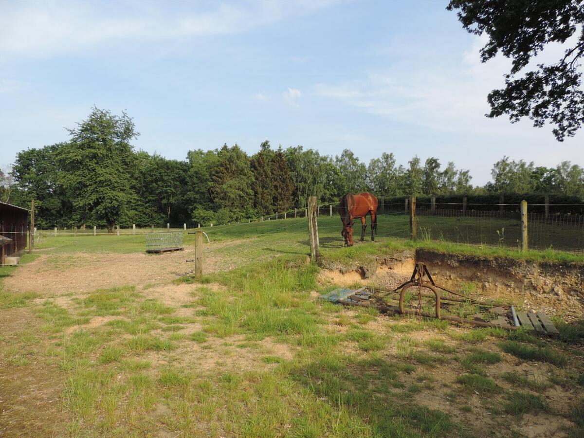 Gezellige hoeve met stallingen op circa 1,5ha 