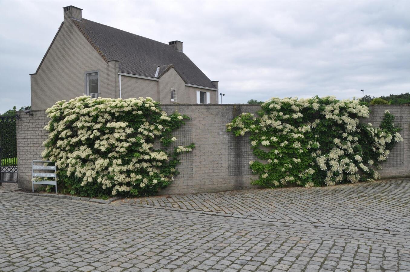 Woning en paardenaccommodatie met binnen- en buitenpiste gelegen te Retie op ca. 5,7ha 