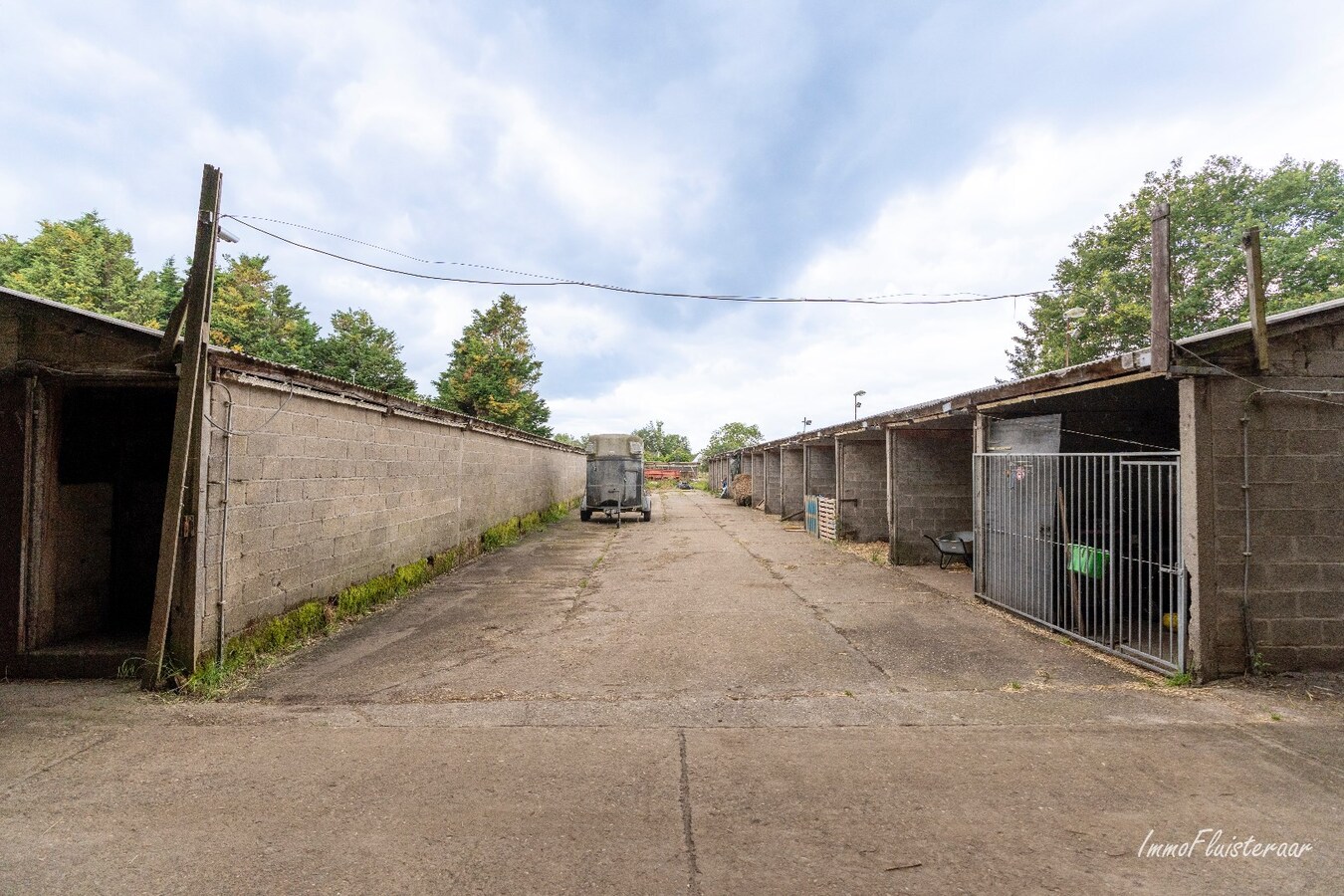 Paardenaccommodatie met 46 stallen, buitenpiste en hangaar op ca. 55 are te Linkhout (Lummen) 