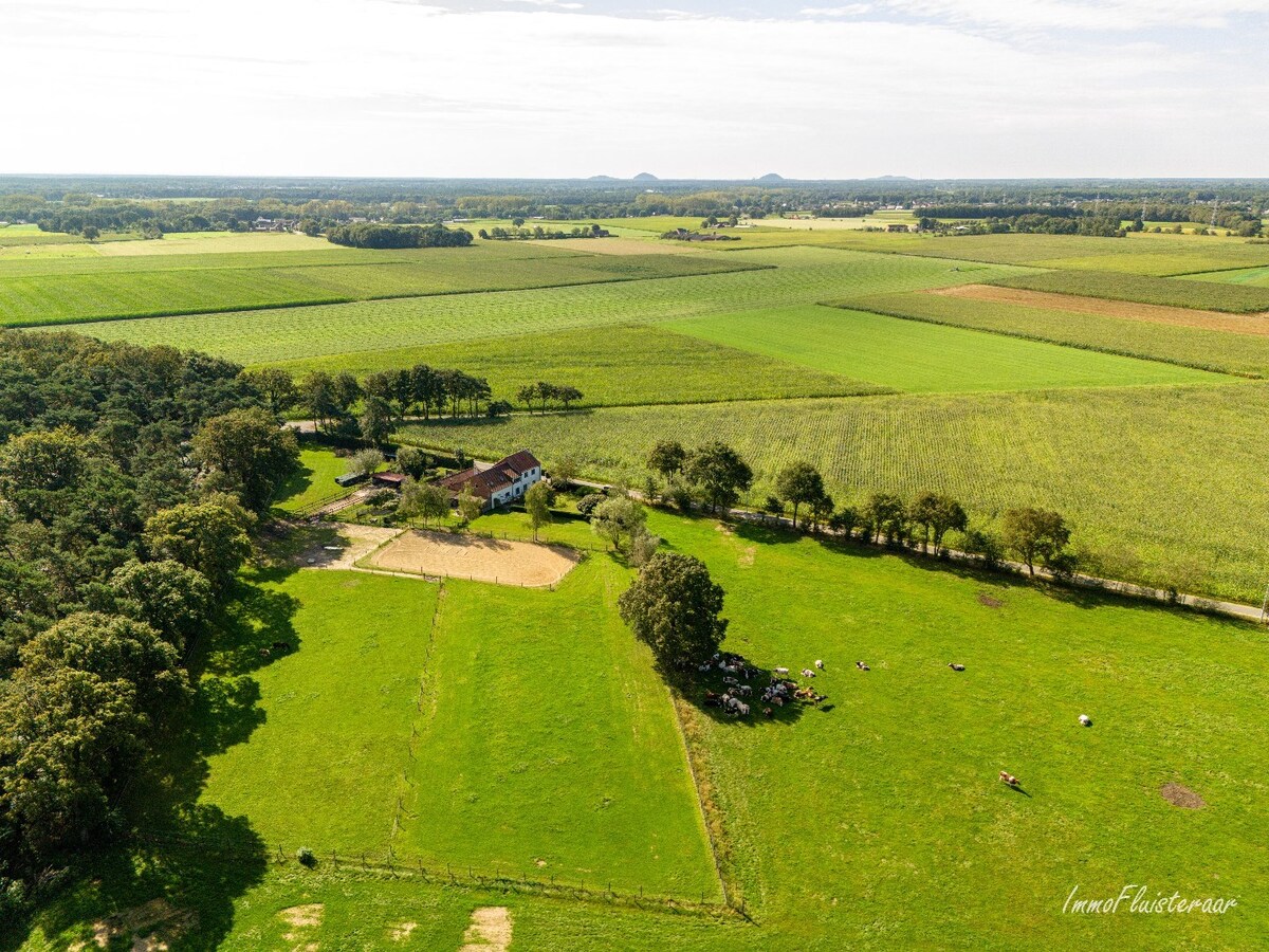 Recent gerenoveerde woning op ca. 1ha15 met paardenfaciliteiten te Bree 