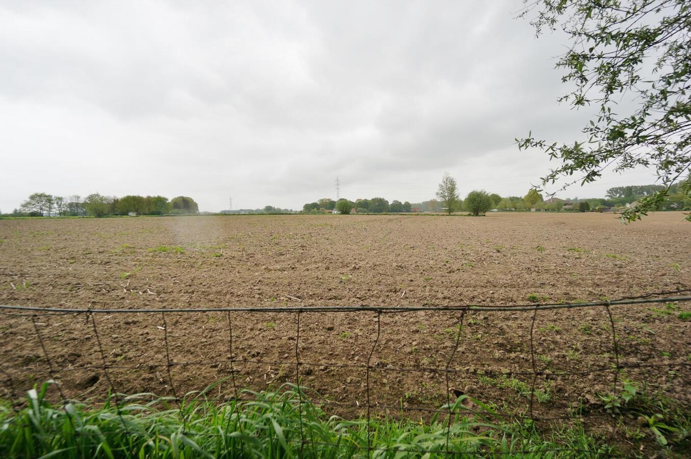 Rustig gelegen landhuis met stalling en weiland op ca. 2 ha te Steenhuffel/Londerzeel 