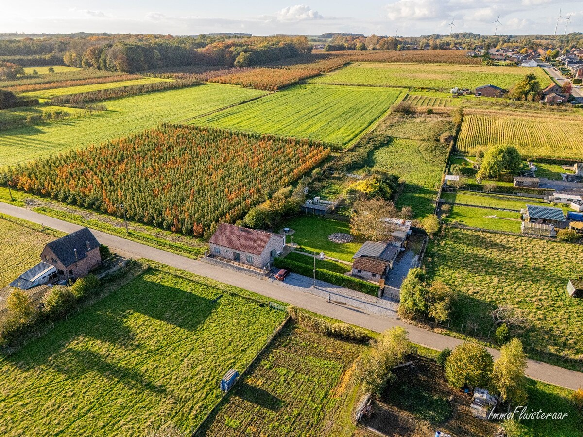 Charmante woning op een ruim perceel van ca. 78 are te Loksbergen (Halen) 