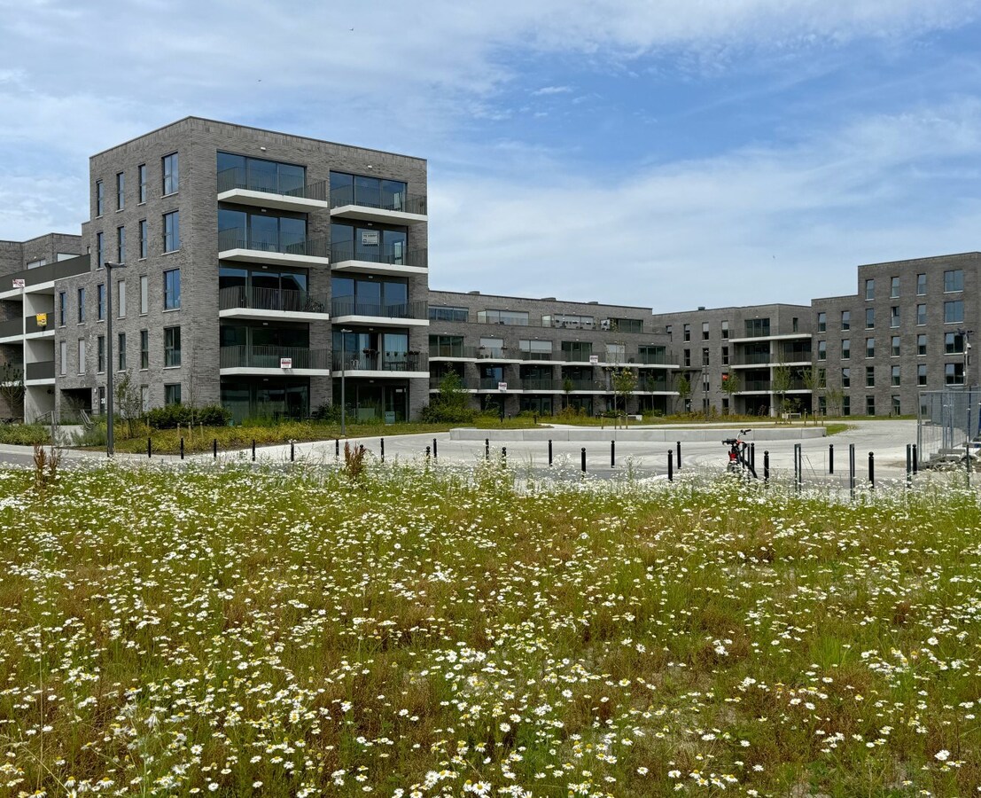 Appartement verhuurd in Turnhout