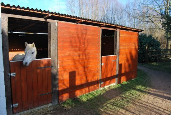 Hoeve met 10 stallen op 2,17 ha 