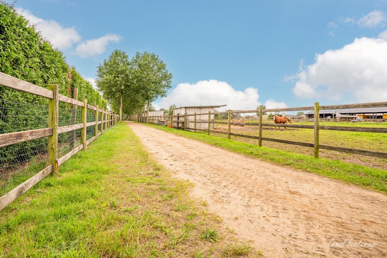 Charmante hoeve met paardenfokkerij op ca. 4,5 Ha te Noorderwijk 