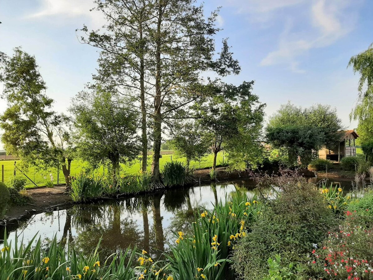 Idyllische eigendom met ruim stalgebouw en bijgebouw 