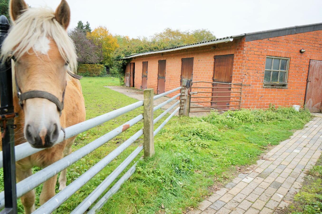 Ferme vendu À Westerlo