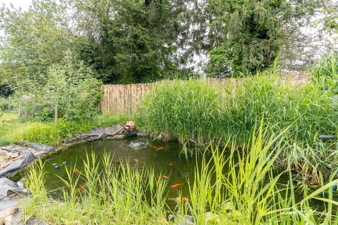 Op te frissen woning voorzien van stallen en aanpalend weiland op ca. 43a te Tienen. 