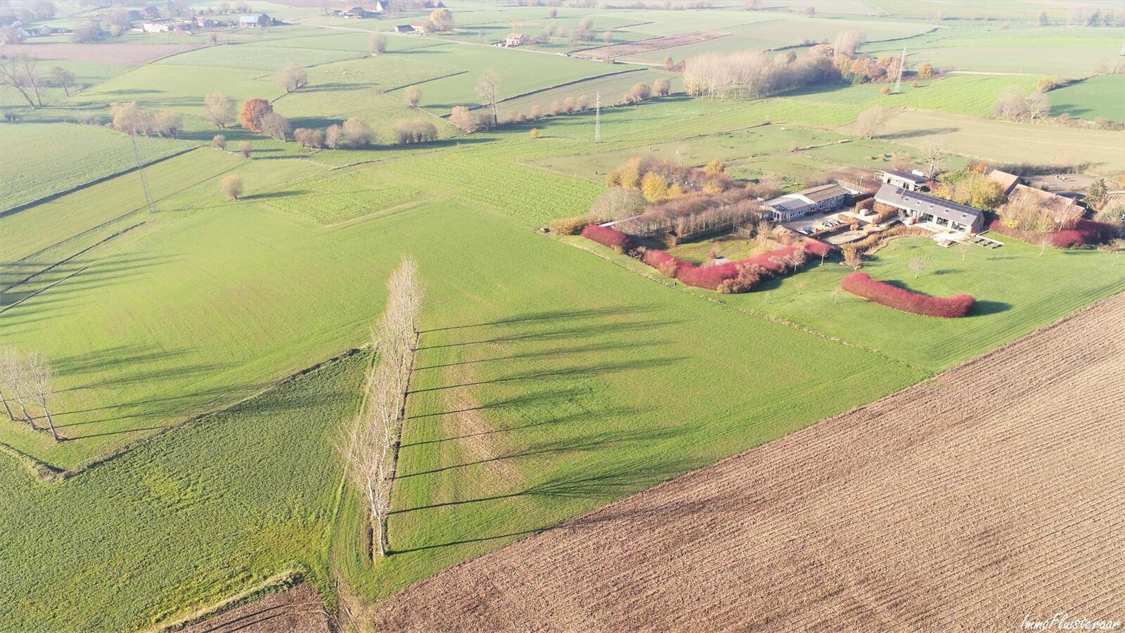 Prachtige villa met ruim bijgebouw en weiland op ca. 2ha te Bever (Vlaams-Brabant) 