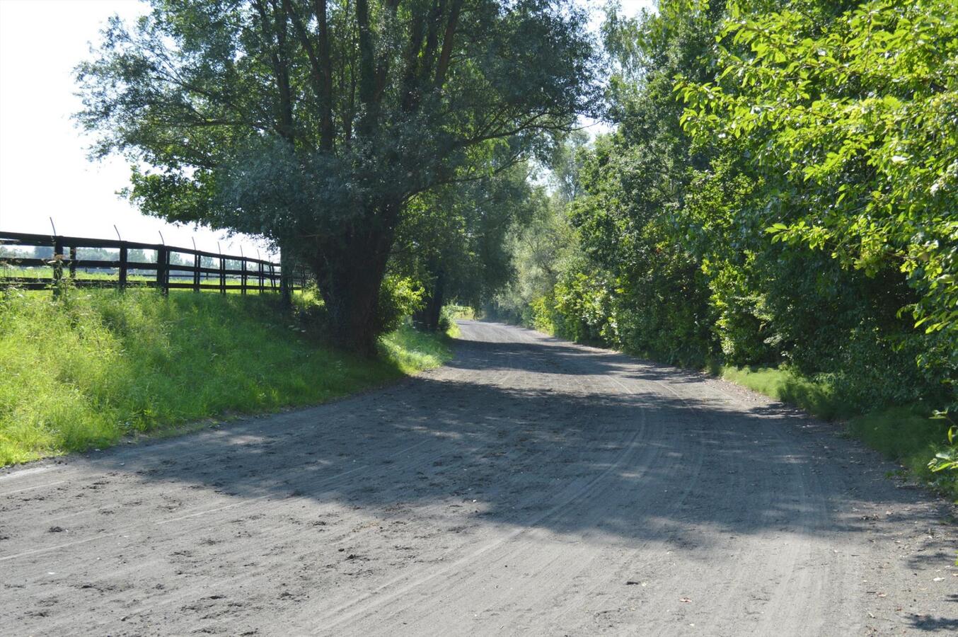 Paardenhouderij met 40 stallen en drafbaan op 4,64ha te Brakel 