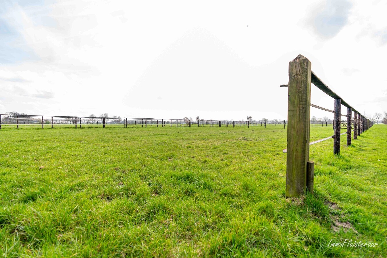 Exclusive country house with equestrian facilities and indoor arena on approx. 1.8 ha in Wuustwezel (Possibility to purchase approx. 6 ha of adjacent pastureland) 