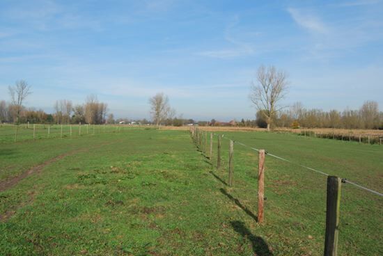 Villa vendu À Lokeren