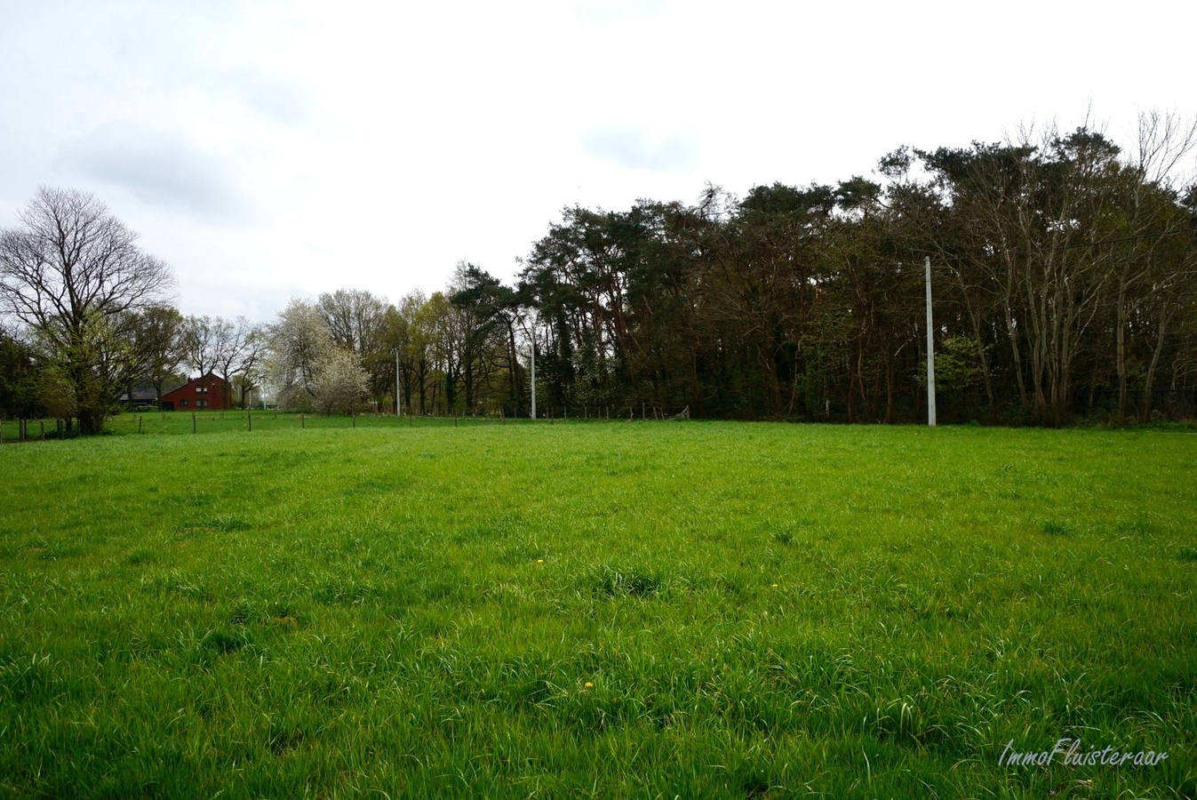 Gezellige te renoveren hoeve met stalgebouw op ca. 1ha21a te Paal 