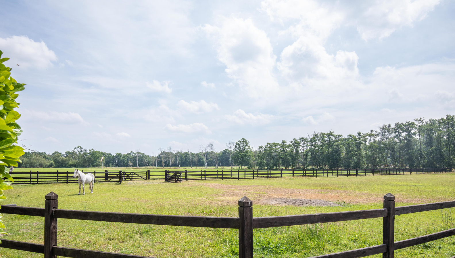 Hippisch complex met woning op 16,5ha te Vlimmeren 