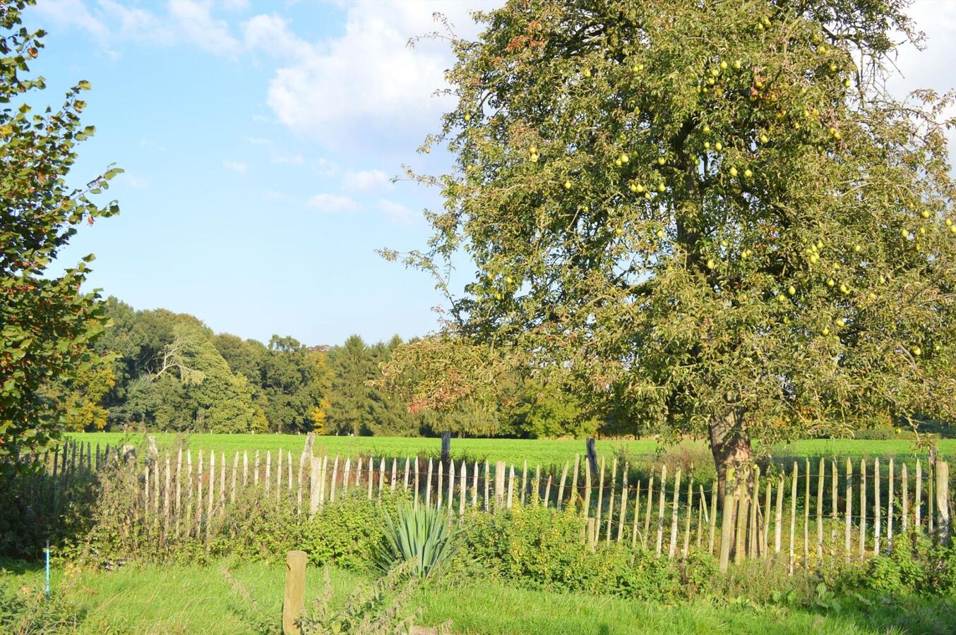 Hoeve met bijgebouwen op ca. 1,93ha te Lennik, Gaasbeek 