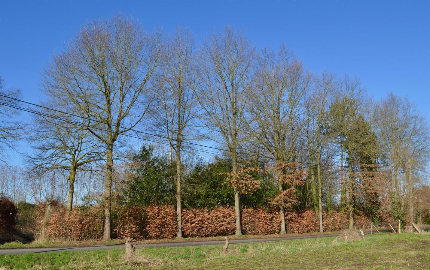 Mooi gelegen perceel bouwgrond met akkerland (weiland) van ruim 2,3Ha te Destelbergen 