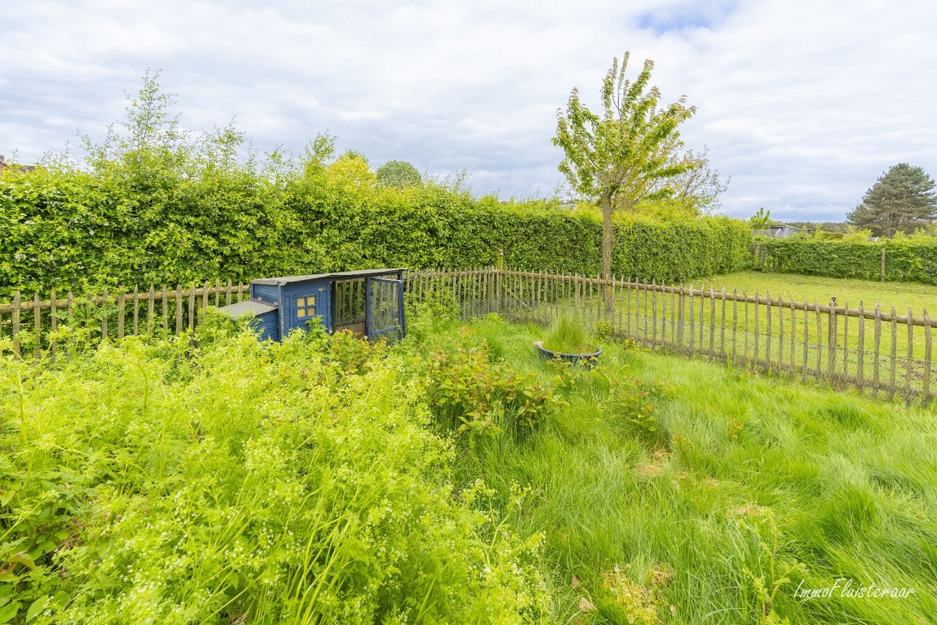 Gezellige woning met stallen op een prachtige locatie te Bocholt (ca. 44a50ca) 