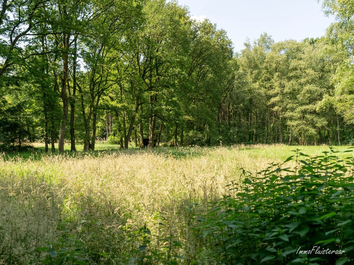 Uniek domein met woning op ca. 3,6 ha gelegen te Balen (optie tot aankoop ca. 10 ha aanpalend bos- en weiland) 