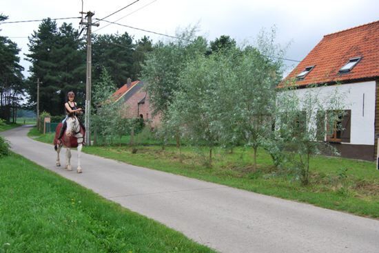 Charmante hoeve op ca. 4000m&#178; 