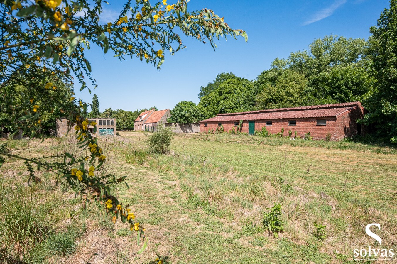Hoeve en bijgebouwen op een riant perceel van maar liefst 9000 m&#178; 