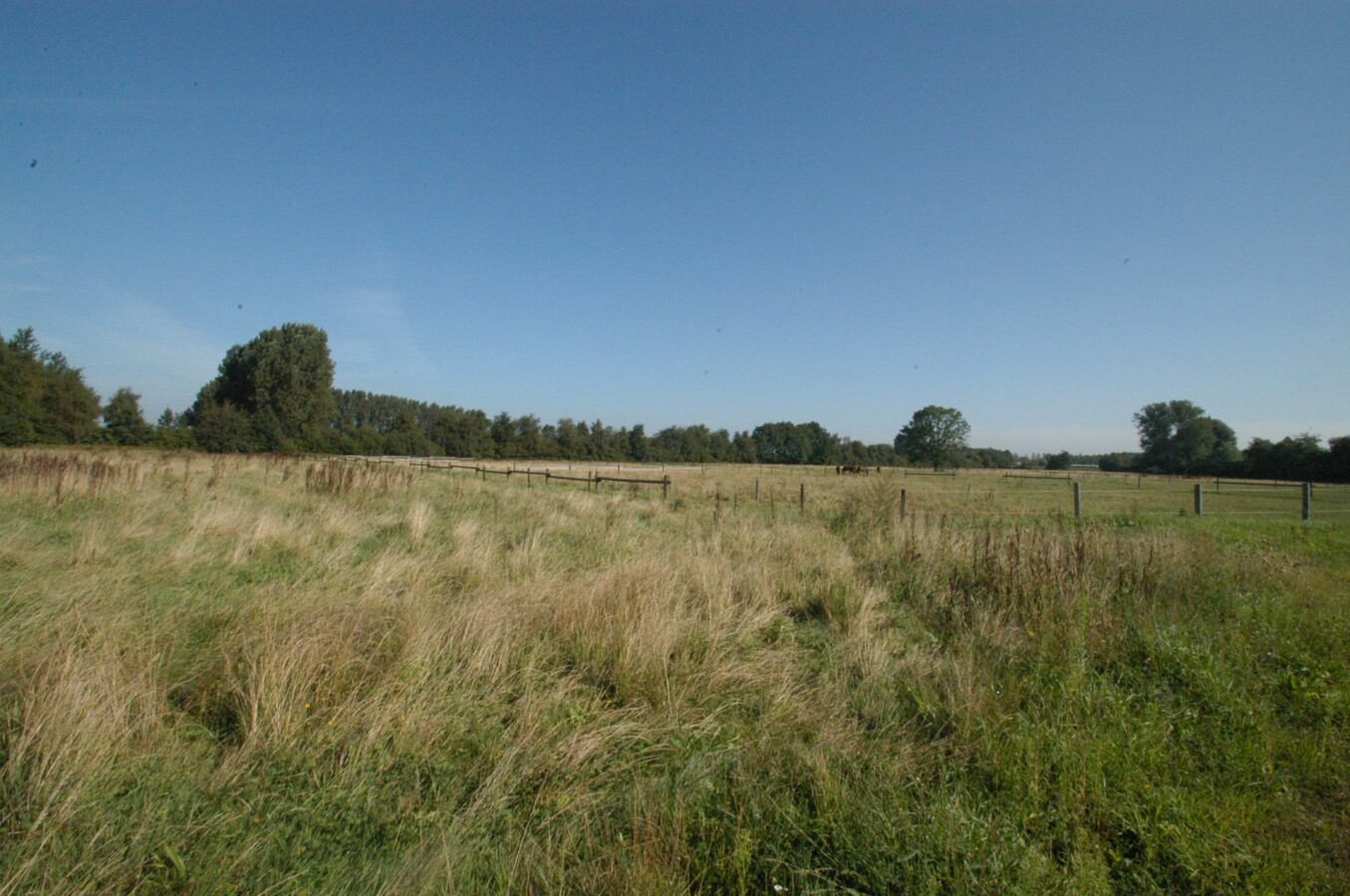 Hippisch complex ‘Azelhof’ op ca. 16 ha te Koningshooikt (Lier) 