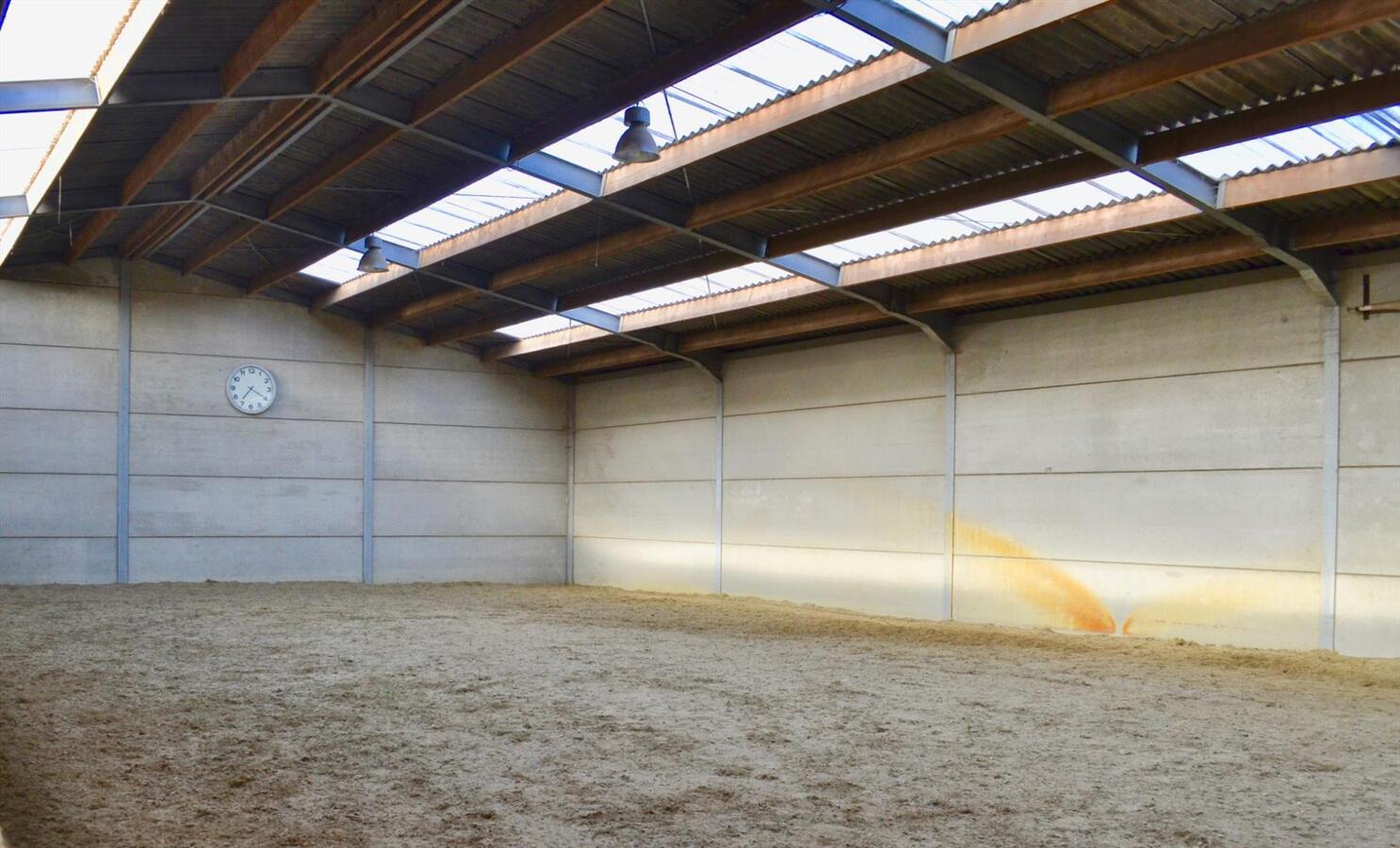 Unieke kans op paardenaccommodatie met binnenpiste (15m x 30m) en appartement op ca. 1,3 Ha te Waasmunster - NIEUWE PRIJS 