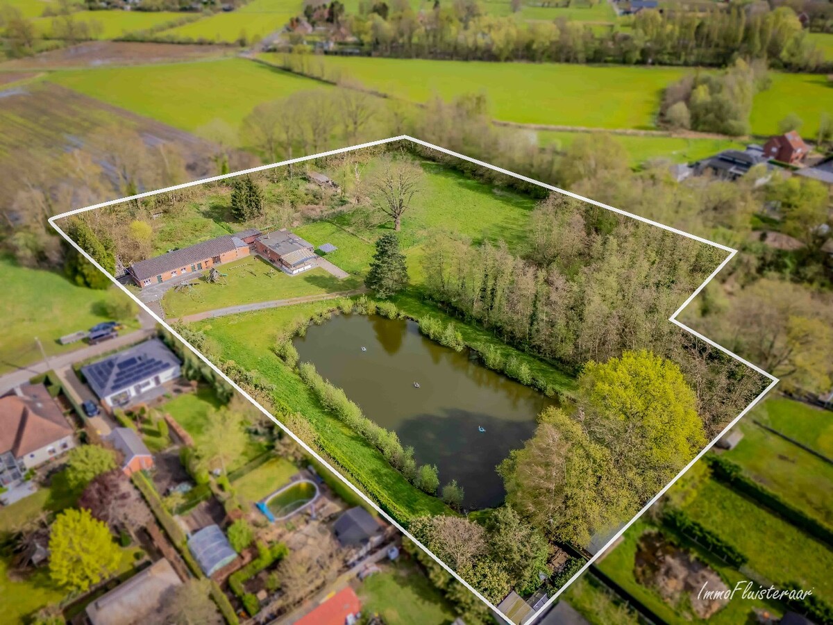 Quietly located house to renovate with pond and outbuilding on a parcel of about 1,7 hectares in Begijnendijk. 